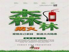 消防森林防火安全教育