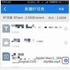 百度云bt文件无法下载