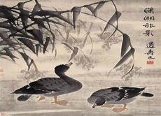 国画花鸟怎么画