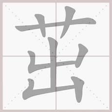 植物生命的意思