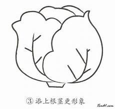 卷心菜姑娘的故事