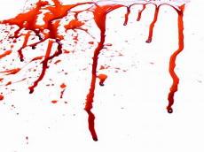 bloodbank全本下拉式